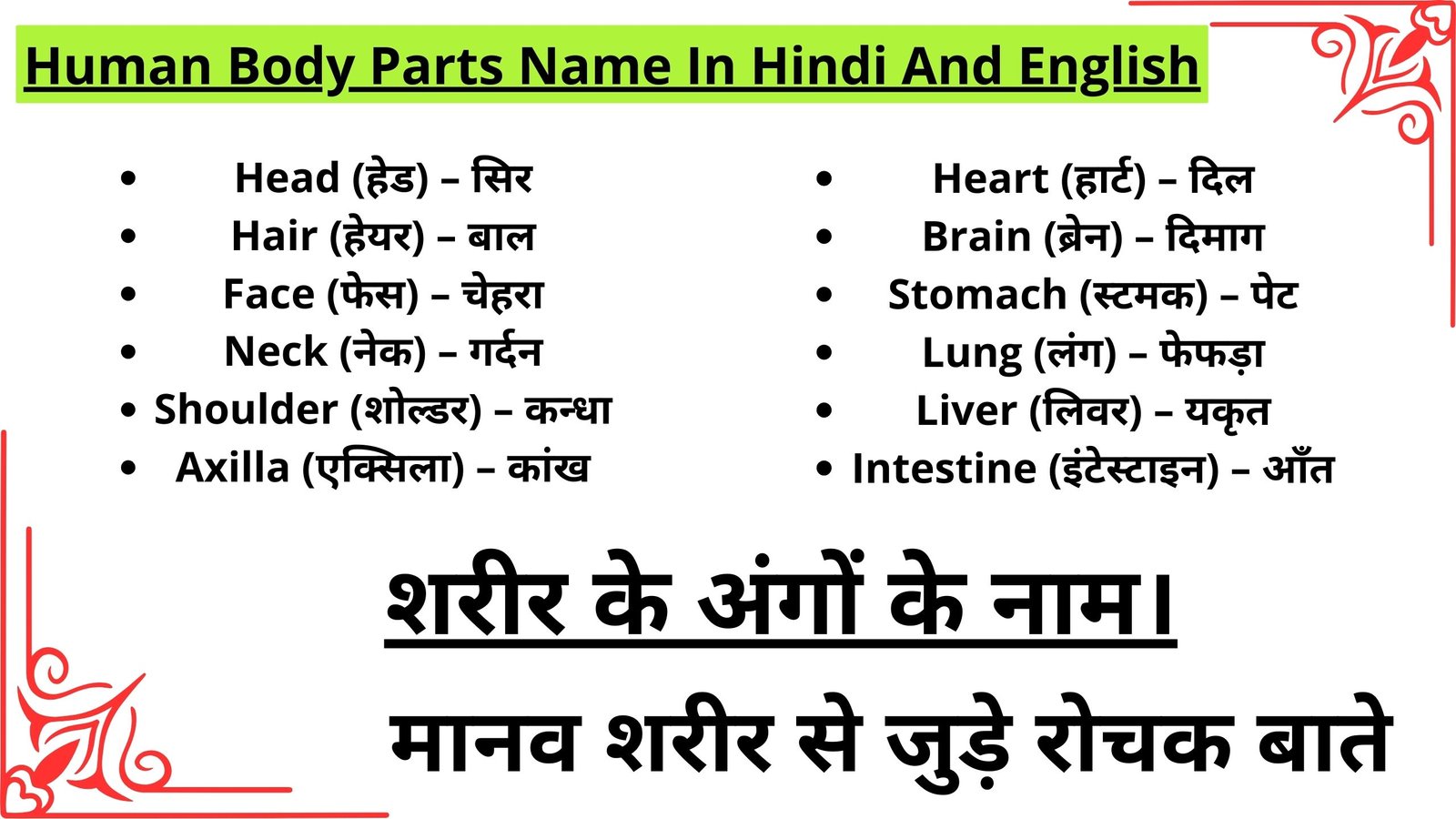 Human Body Parts Name In Hindi And English - शरीर के अंगों के नाम।