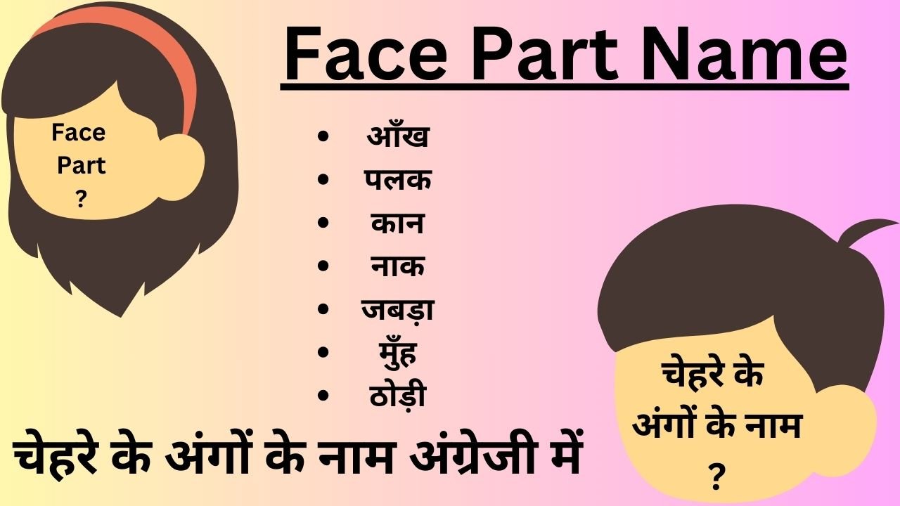 face Part Name - चेहरे के अंगों के नाम, अंग्रेजी में चेहरे के अंगों के नाम की सूची देखें