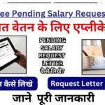 लंबित वेतन के लिए एप्लीकेशन - Employee Pending Salary Request Letter