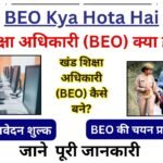 BEO Kya Hota Hai - खंड शिक्षा अधिकारी (BEO) क्या होता है?