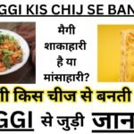 maggi kis chij se banti hai - मैगी किस चीज से बनती है?